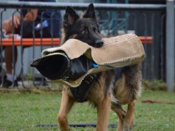 01.07.2023 offenes training 27